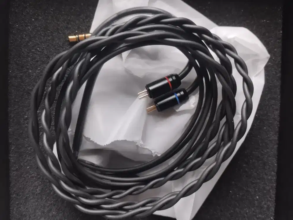 In Ear Monitor (IEM) Tangzu Waner SG 2 - No Mic [Hanya Eartips Bawaan]