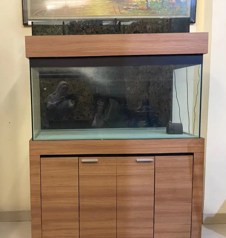 Aquarium kondisi grass