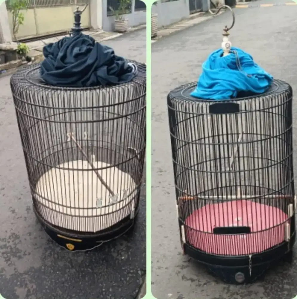 Kandang murai merk ebod  no 3