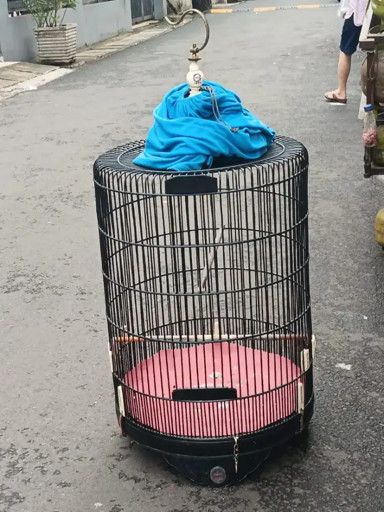 Kandang murai no 3 merk ebod