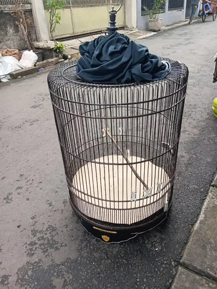 Kandang murai no 1 merk STAR