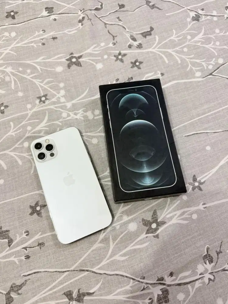 iPhone 12 Pro 256GB Silver