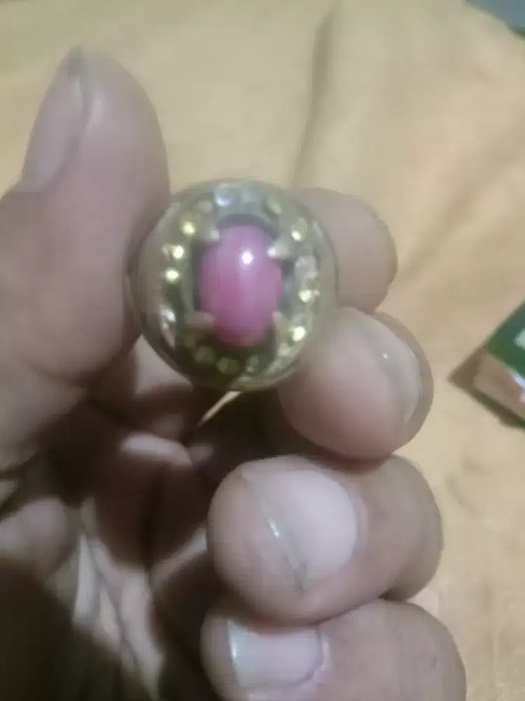 Mirah delima cangkang