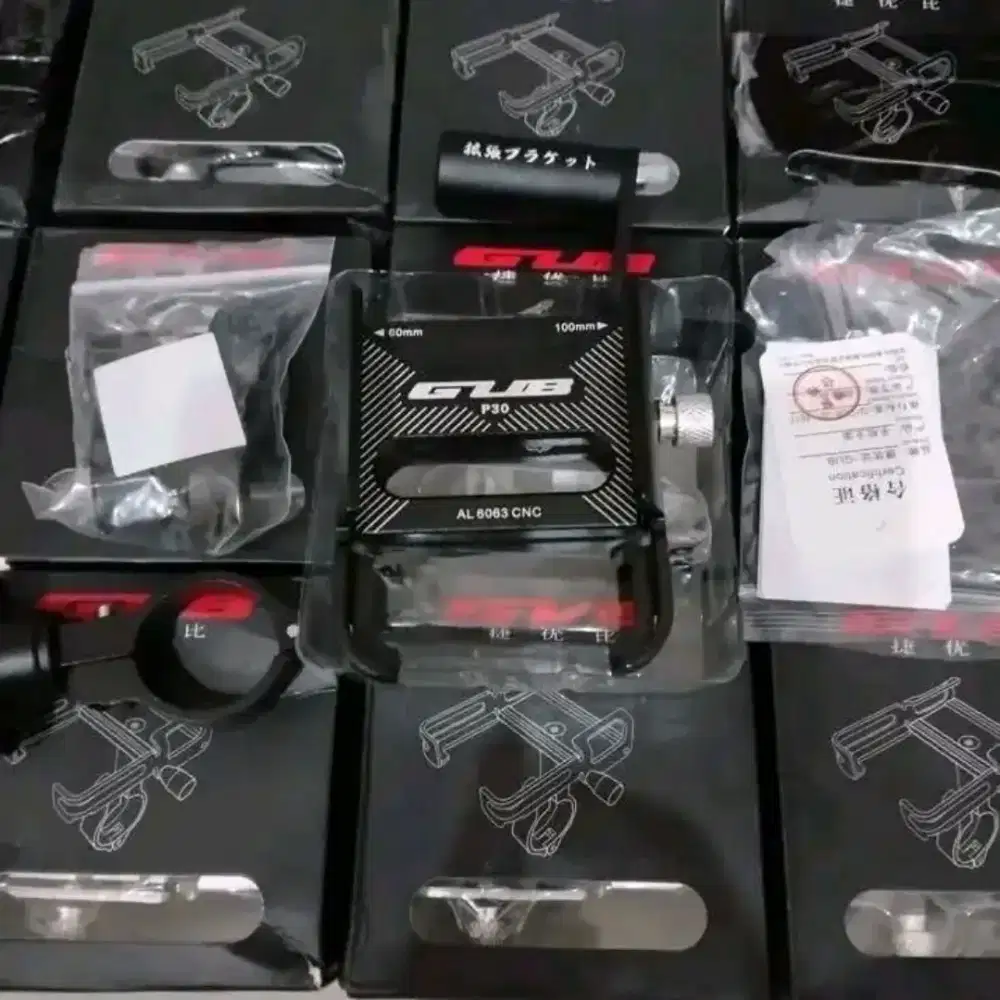 NEW Holder GUB P30