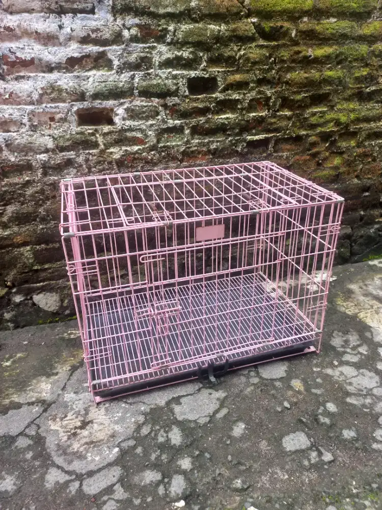 Kandang Kucing merk Octagon