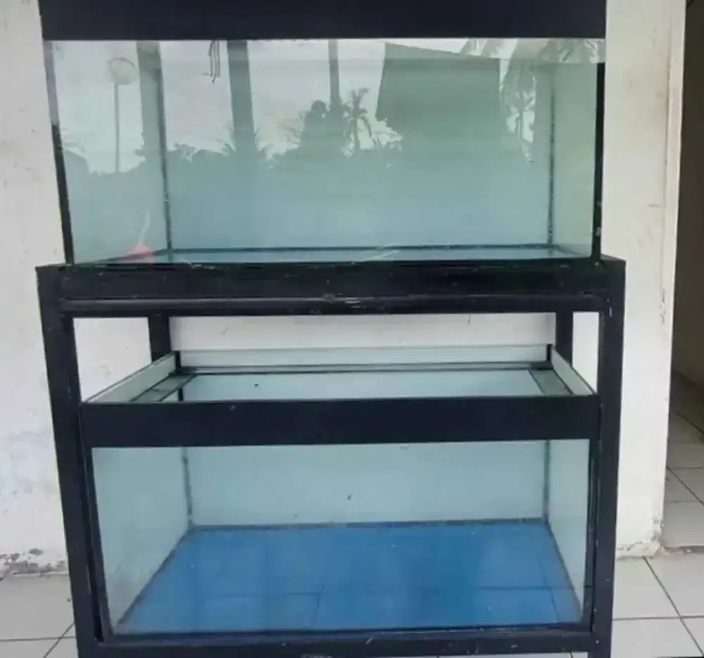 Aquarium ikan hias