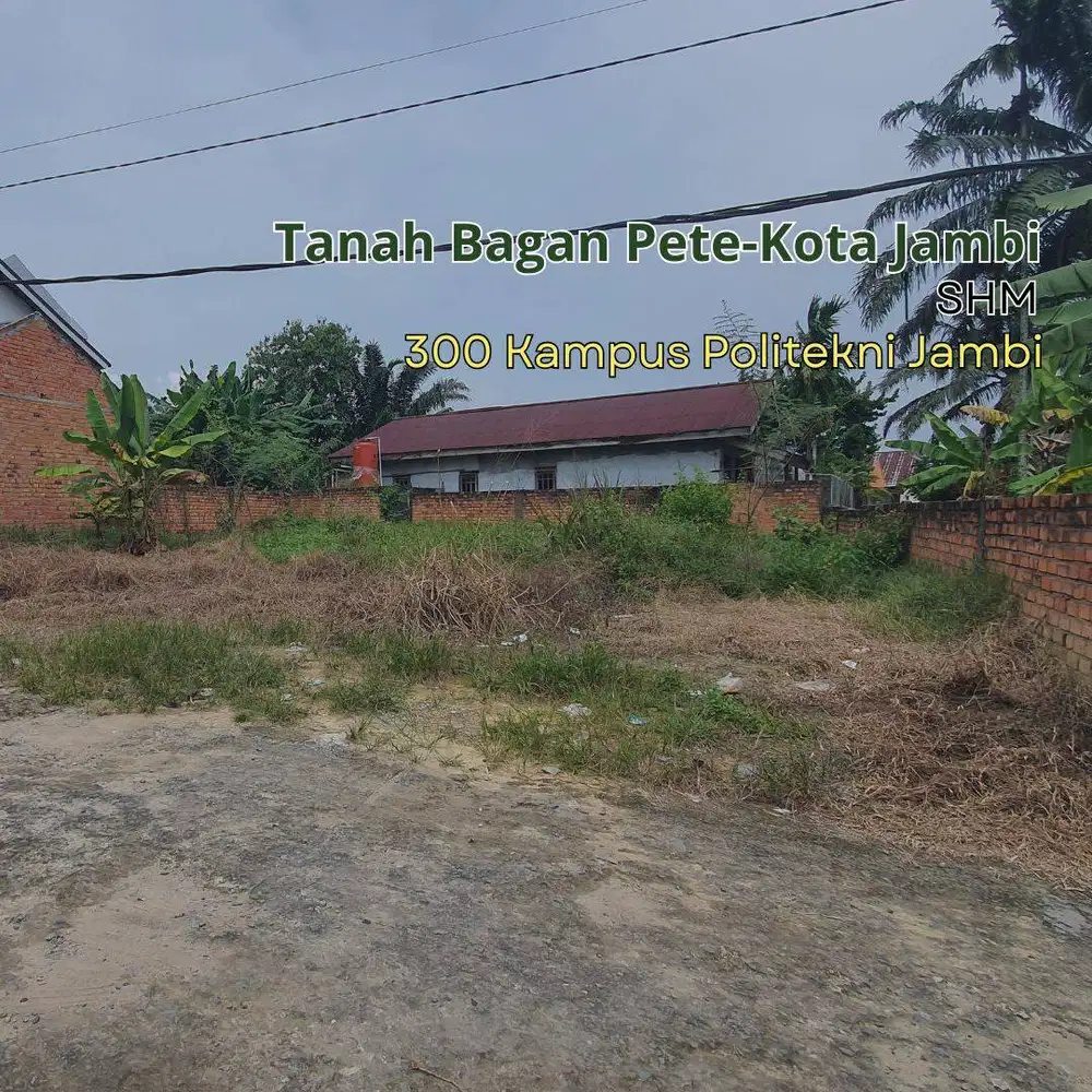 Jual Tanah Beliung, Harga 150jt/Tumbuk Jambi