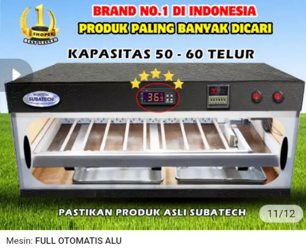 Alat tetas telur / telor unggas atau ayam