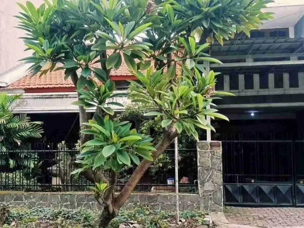 9jt-an/mtr‼️Rumah Gayungsari Barat