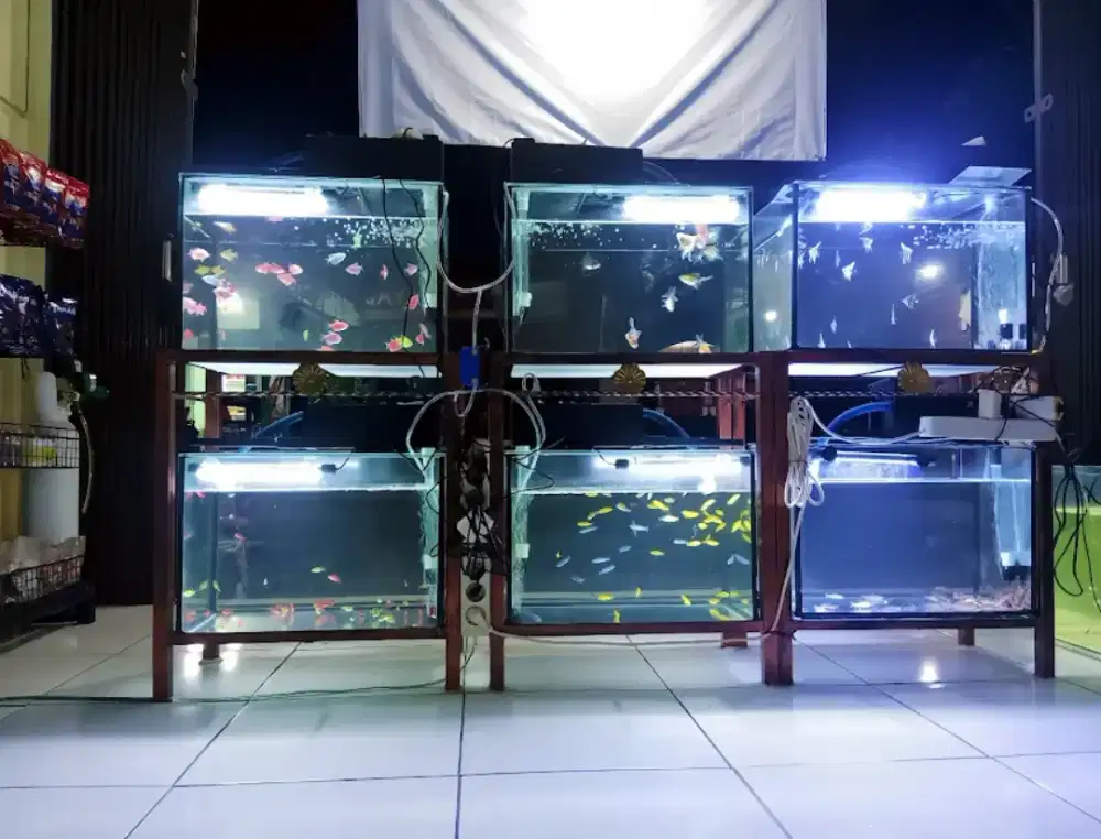 Jual 3 set aquarium 50/30/30 lem hitam.