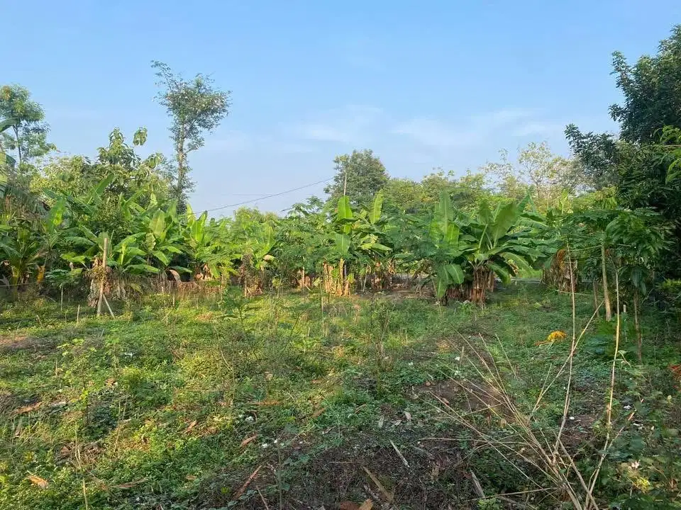 Di jual tanah pekarangaan 500m2