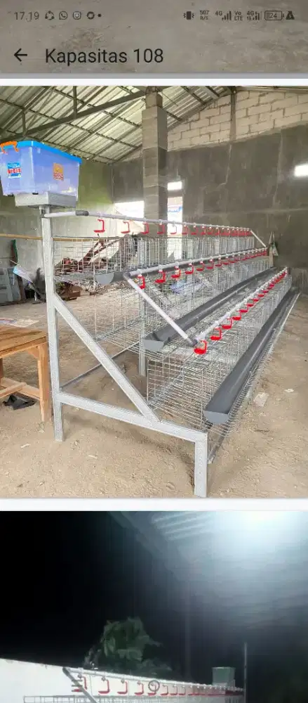 Kandang ayam petelur