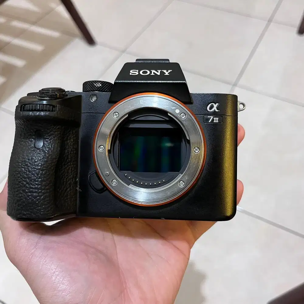 Sony a7iii murah normal
