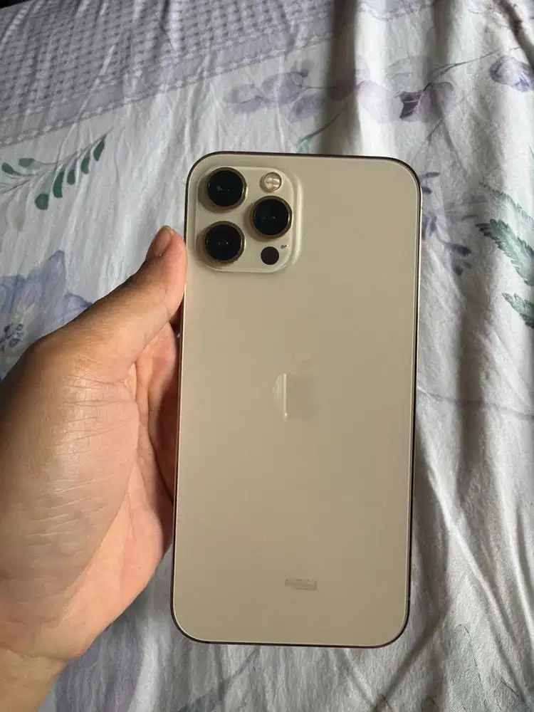 Iphone 12 promax gold 256 GB IBOX