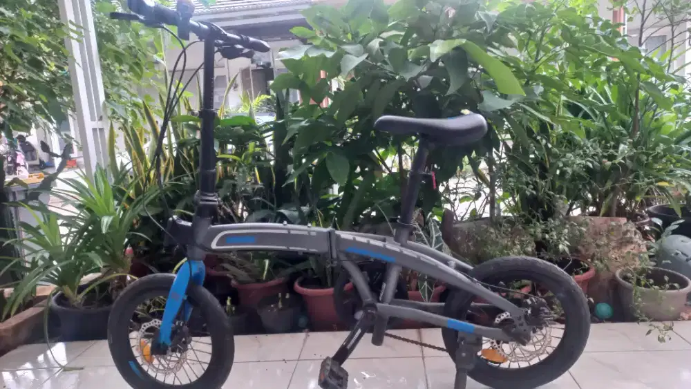 Sepeda maximo 20inch