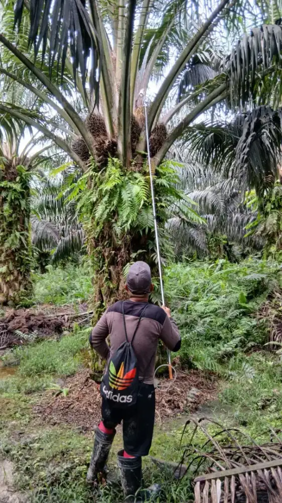 LOWONGAN KERJA GRATIS DAN RESMI
