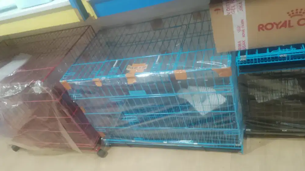 Kandang Anjing Atau Kucing