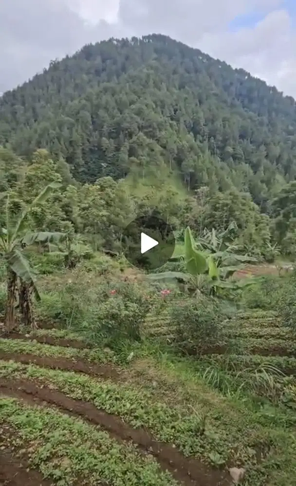 Villa dengan Tanah Luas