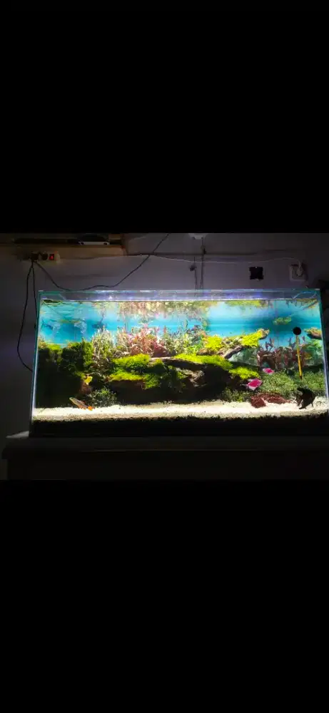 Jual Aquarium satu set dengan meja
