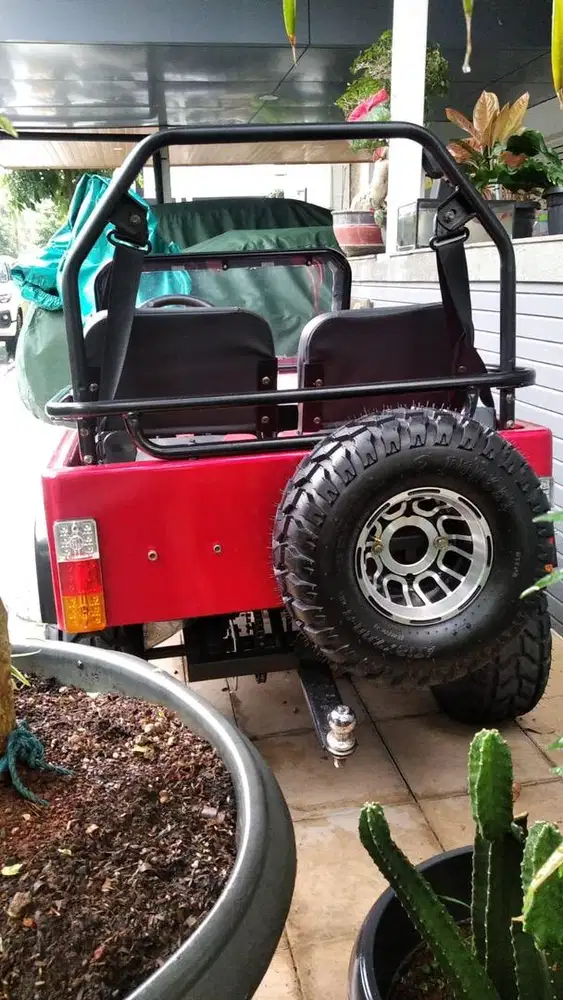 Mini jeep wilys