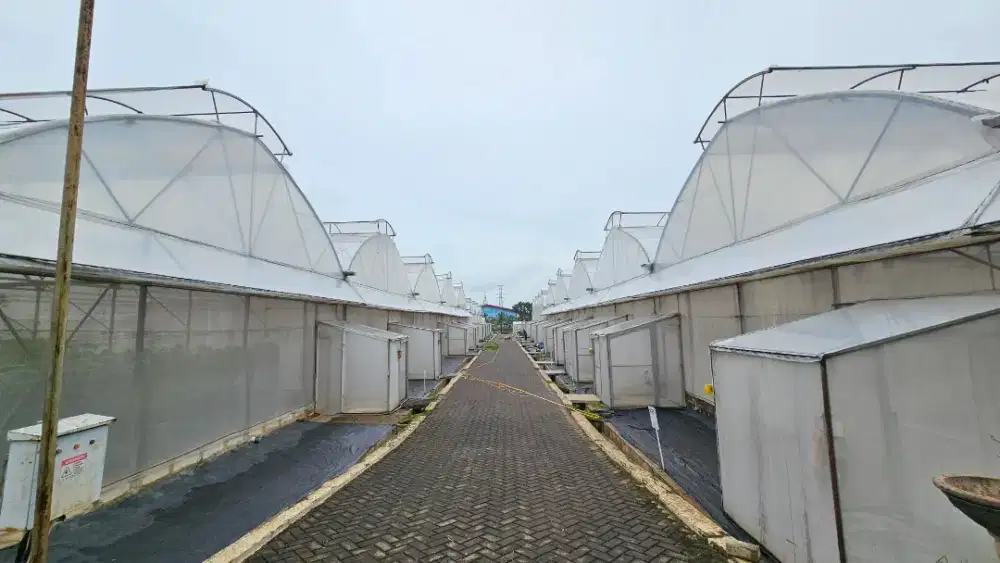 Pembuatan Greenhouse