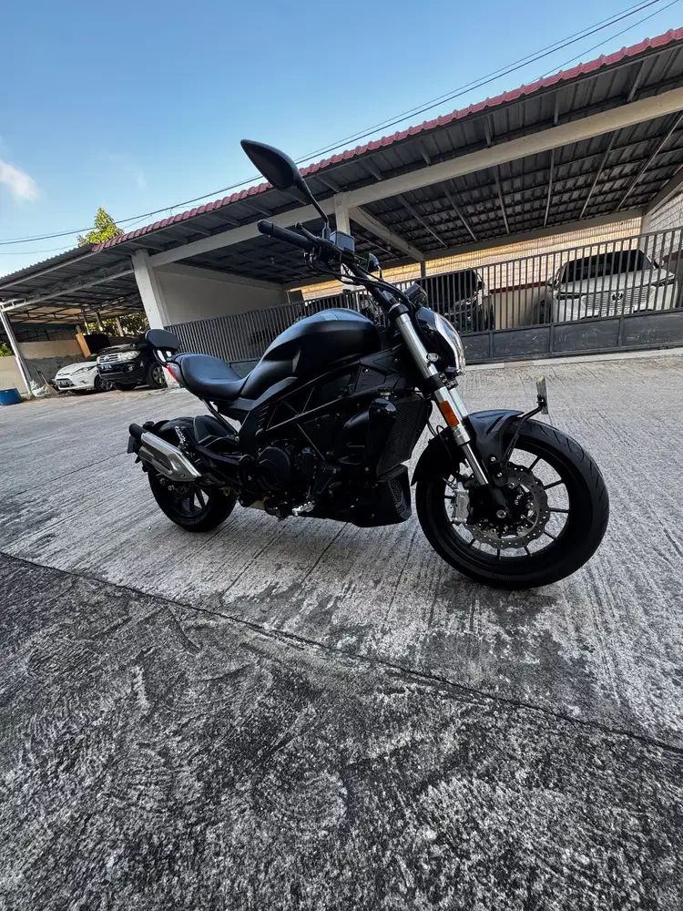 Benelli 502 C(Cruiser)