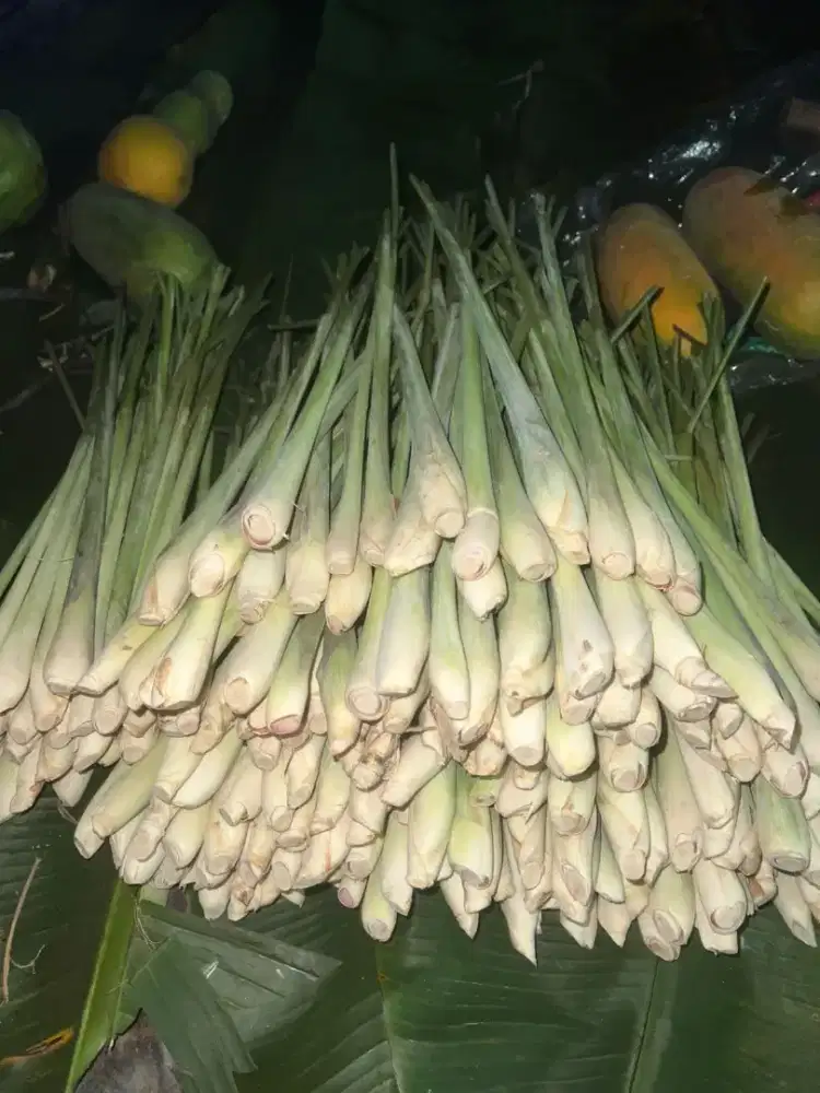 Dijual Sereh / Serai