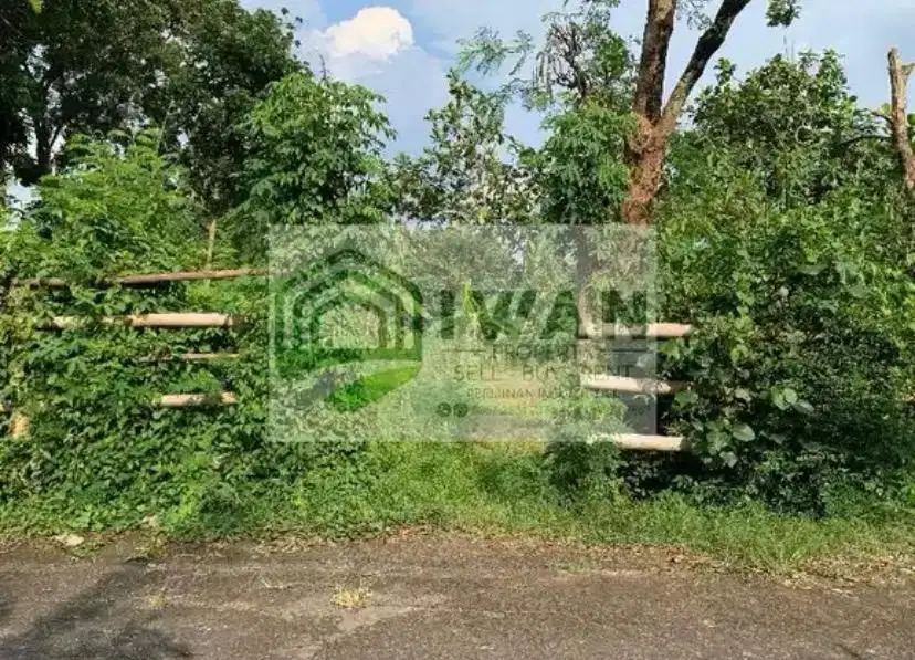 Tanah Pekarangan/Kering Lebar Muka 50m Dengan View Sawah Alam