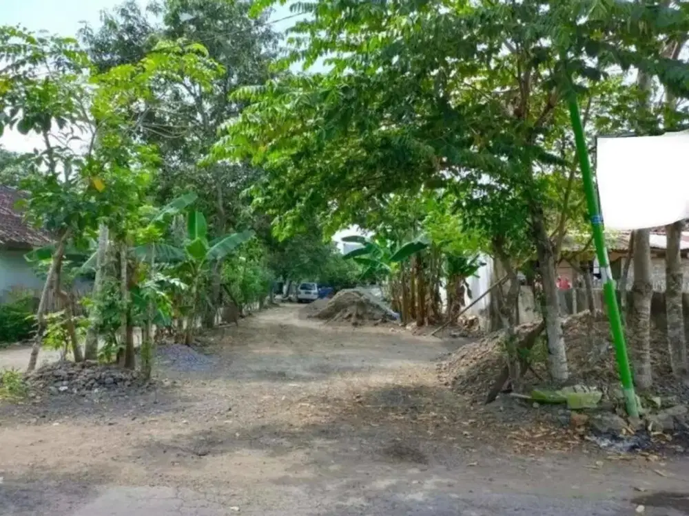 Tanah Kosong di Rogojampi Banyuwangi cocok untuk dibuat Kos-kos an Strategis