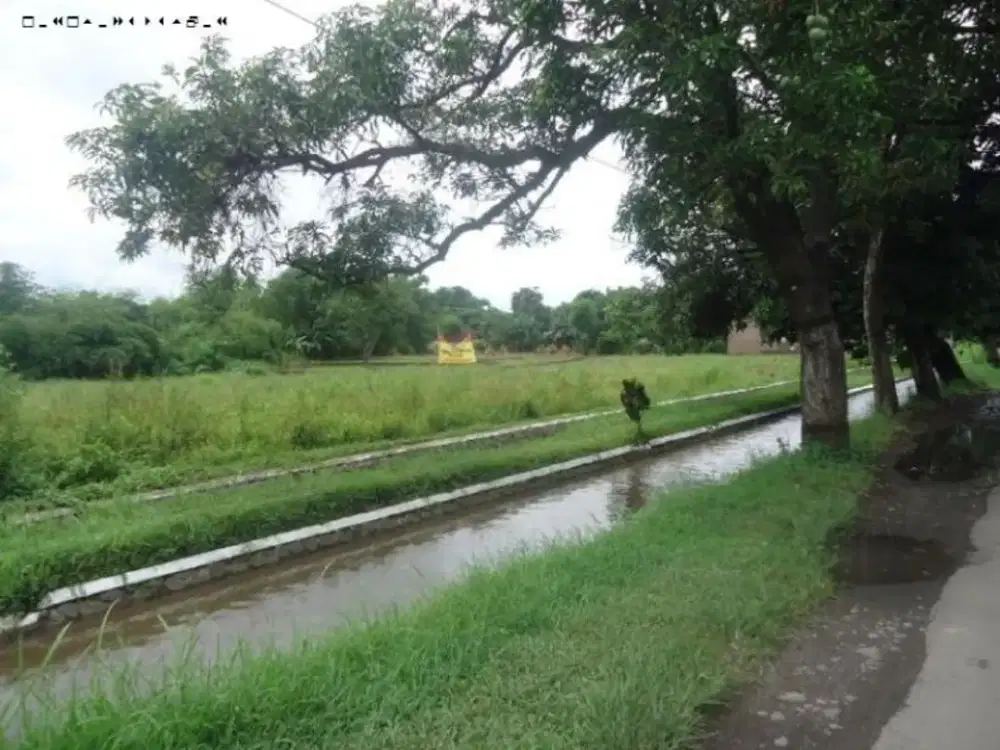 Tanah Nol Jalan di Pasuruan arah Malang Cocok untuk gudang