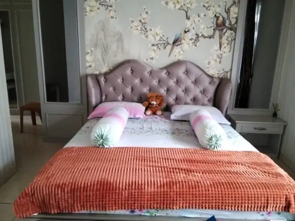 Im forma gold series full set