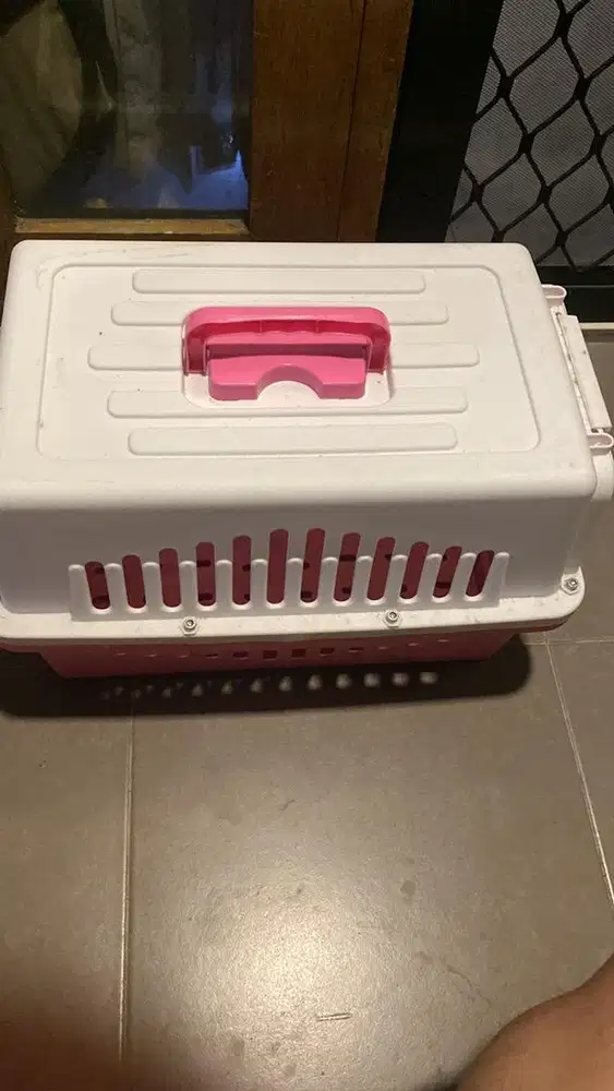 Pet cargo kandang travel kucing