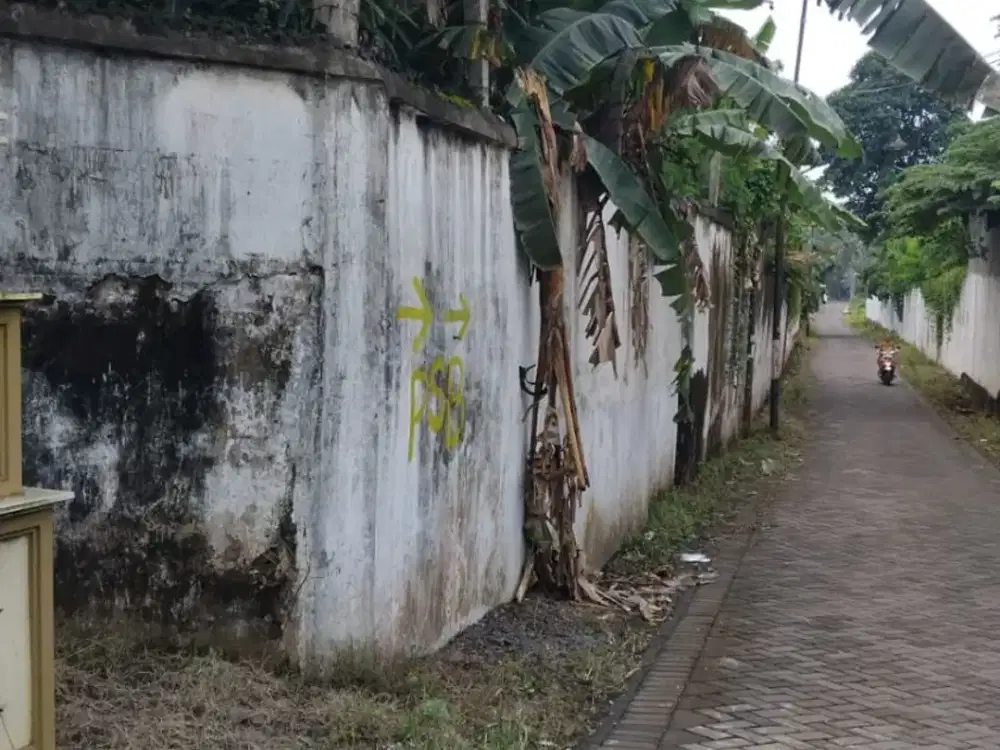 TANAH PREMIUM – STRATEGIS & POTENSIAL Jl Raya Provinsi Jember - Banyuwangi