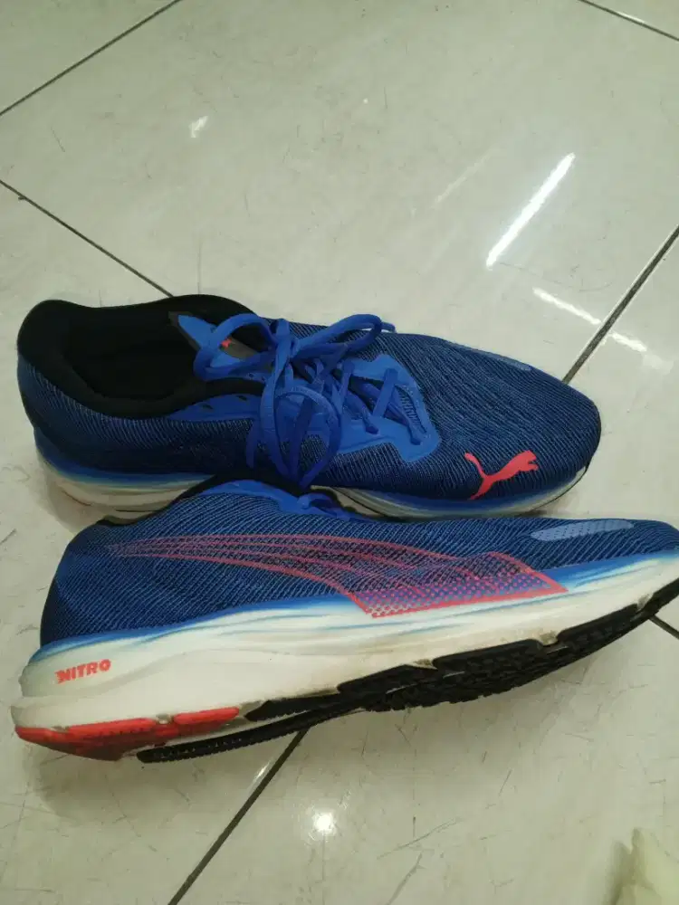 SEPATU RUN velocity austentic 100%