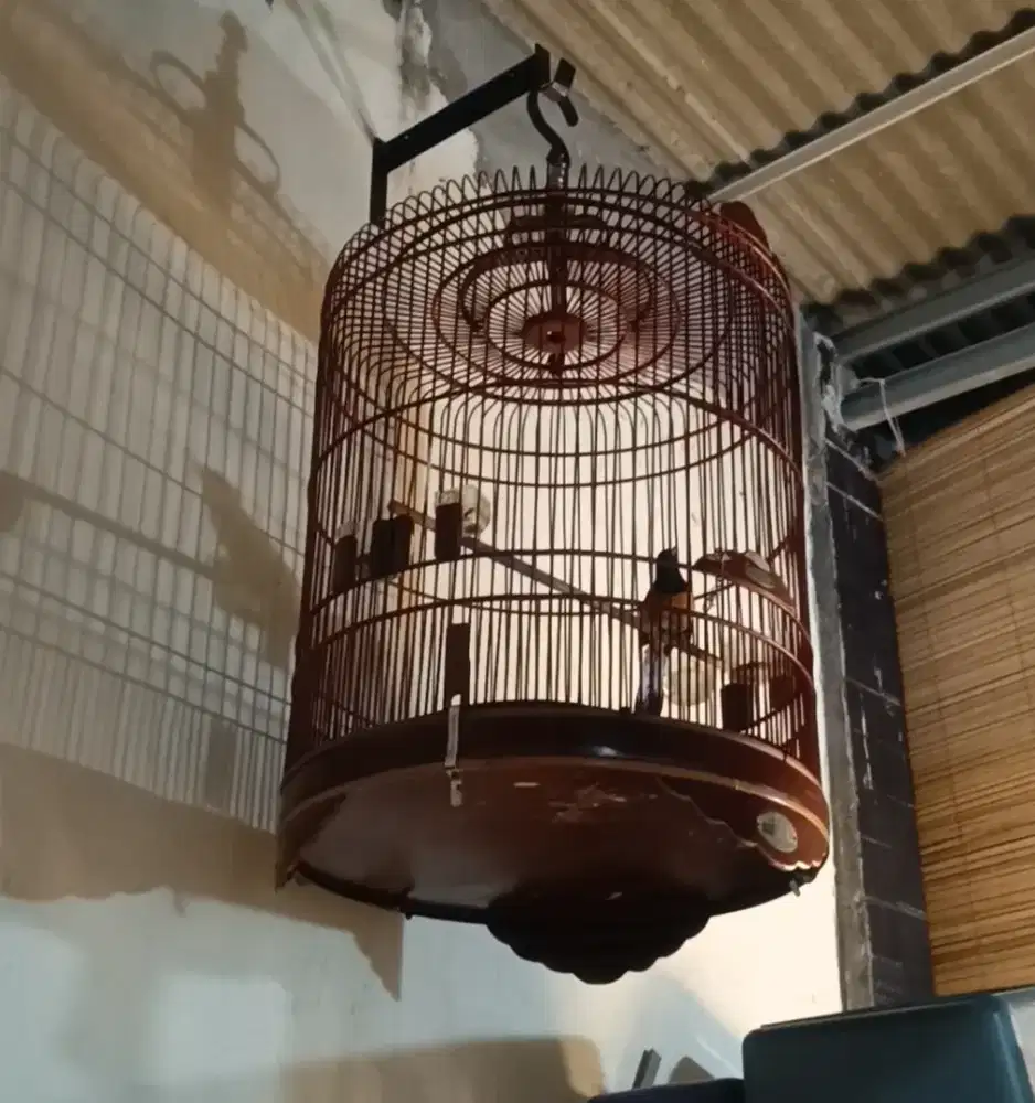 Sangkar murai Rafi Jaya