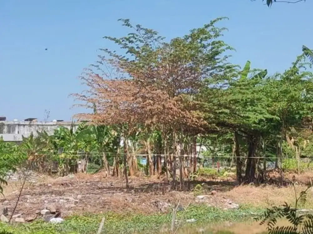 Tanah Jl Jemur Handayani Kav DPR, Strategis