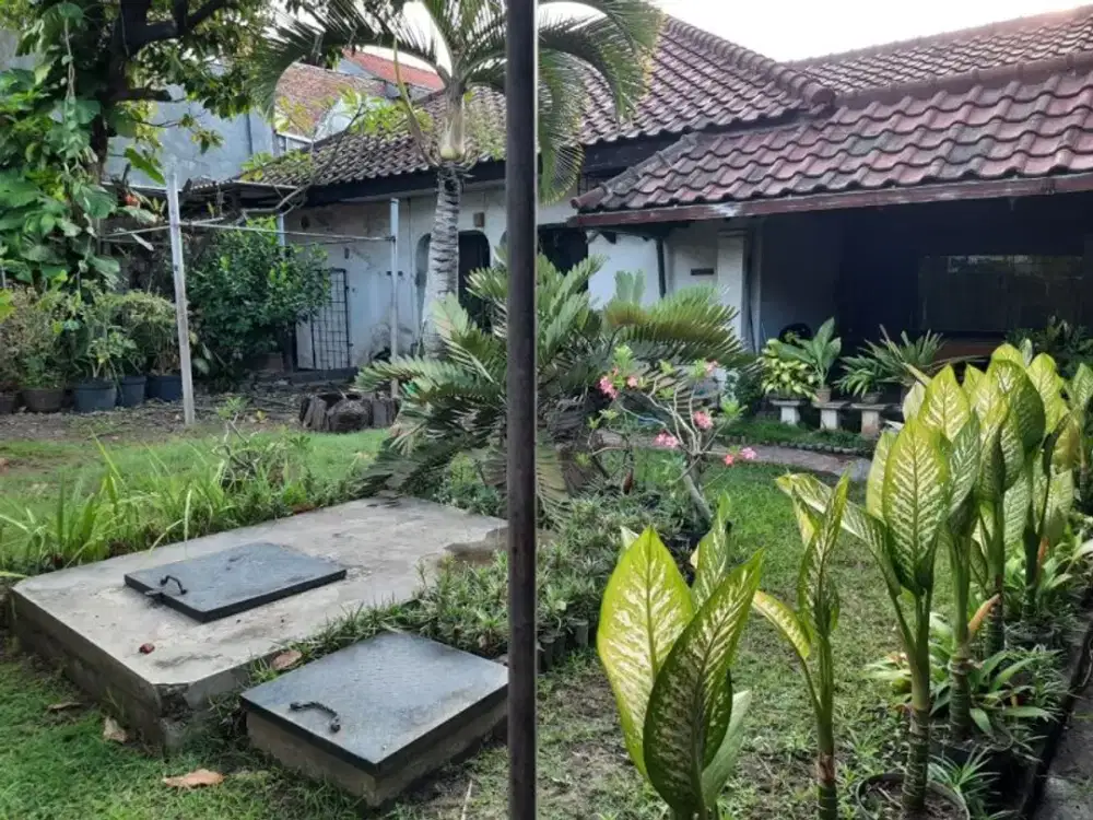 Rumah Area komersial Jl Ry Kutisari Selatan I, Strategis