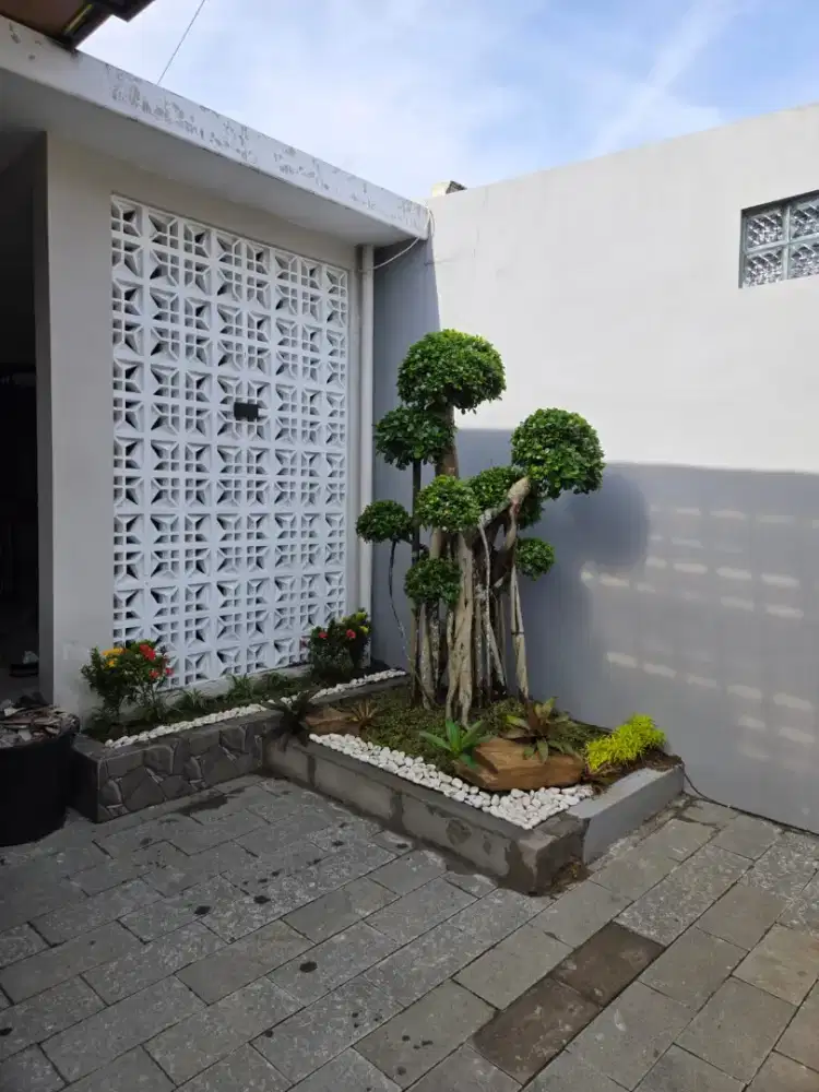 Pembuatan taman rumah