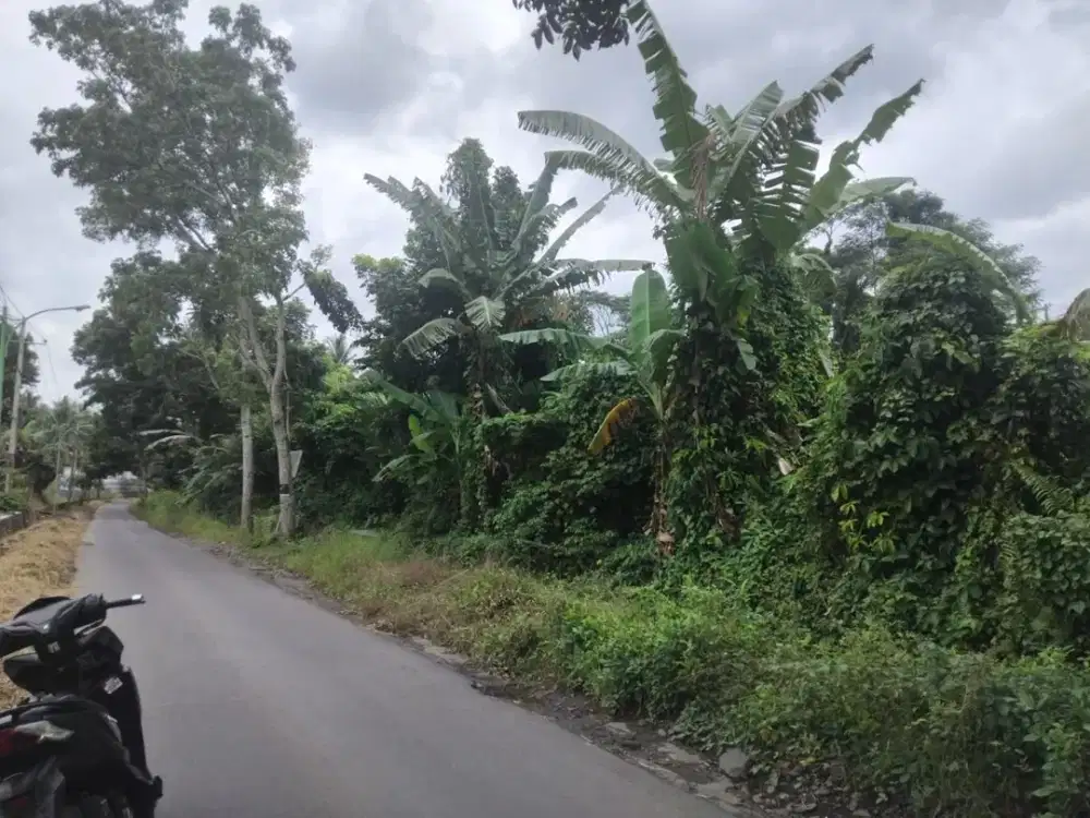 DIJUAL Tanah, Mantren-Kabat,Banyuwangi