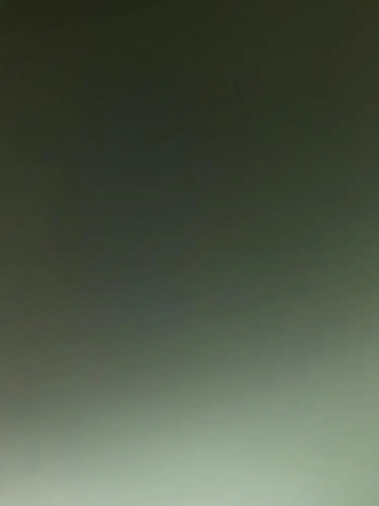 Tukang kebun dan urus kucing