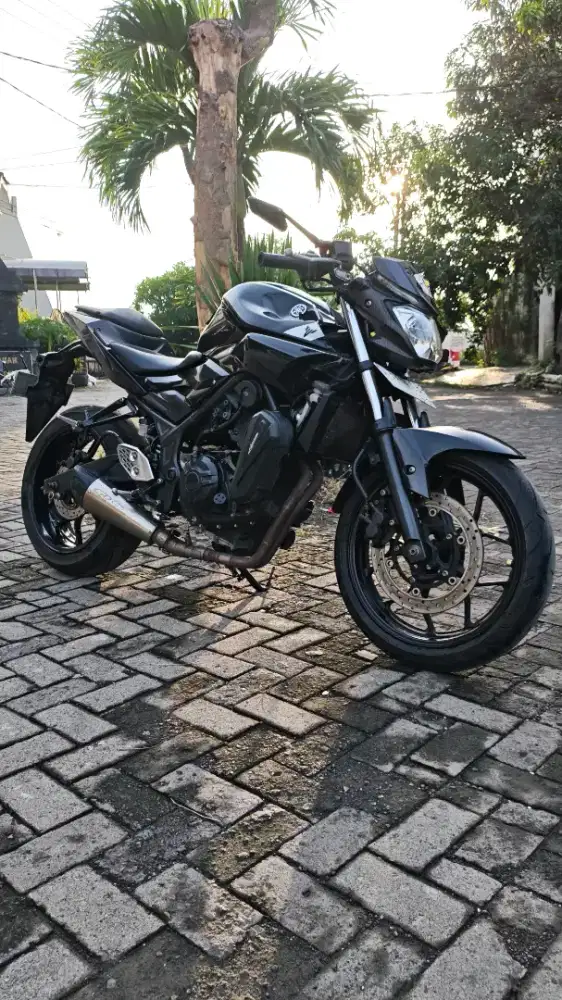 Yamha MT25 2015 plat L