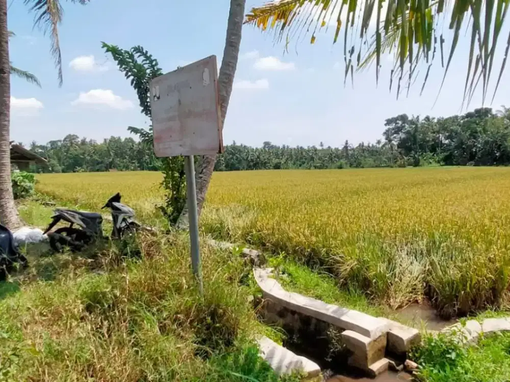 DIJUAL Tanah Strategis, Paspan-Glagah,Banyuwangi