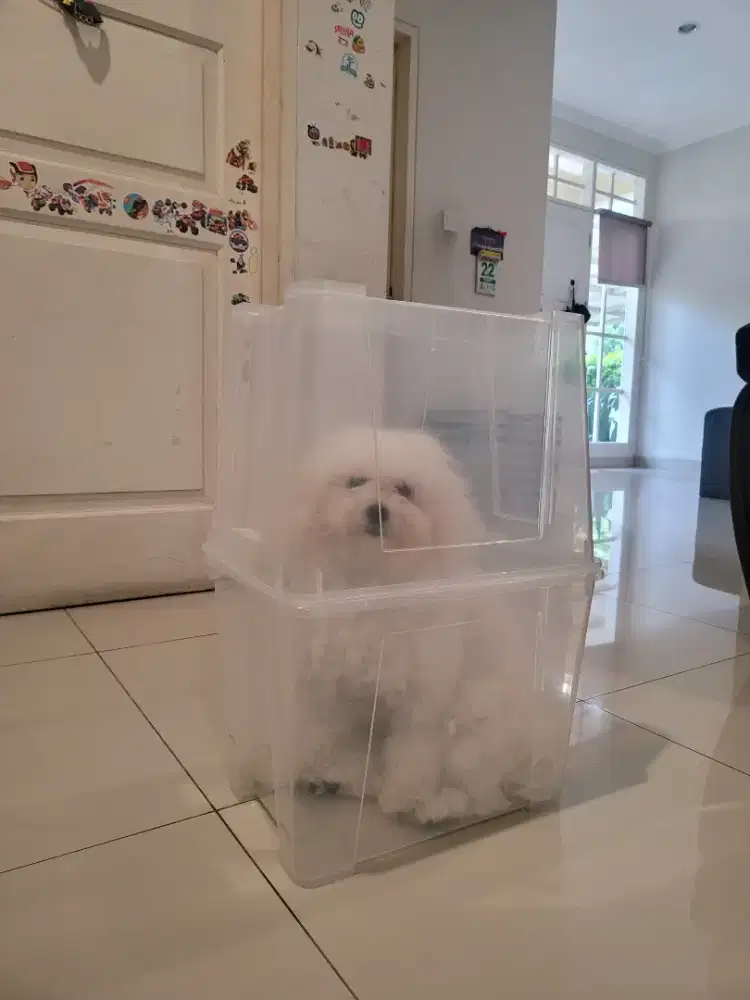 Dibutuhkan ART Menginap