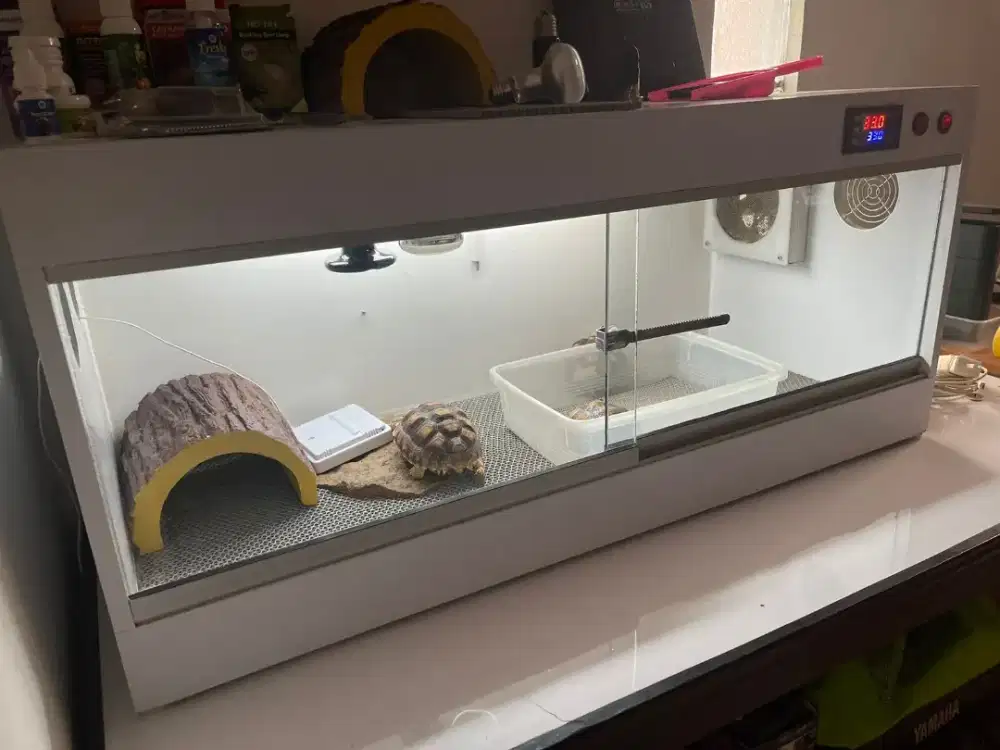 Kandang Terrarium Reptile Sulcata