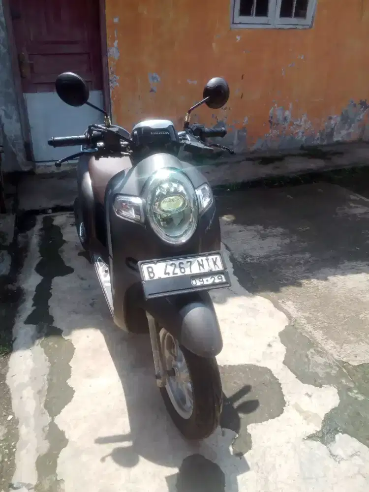 Jual Scoopy Donat 2019