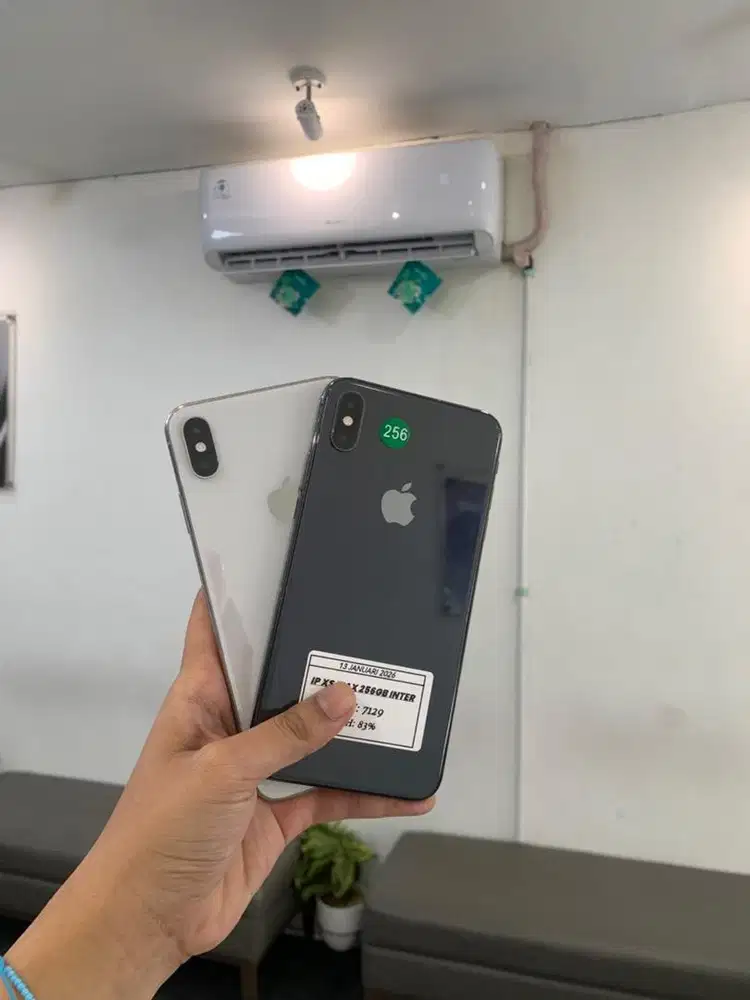 IP XSMAX 256GB INTERR