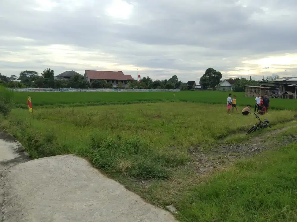 Tanah Tengah Sawah Di Jual Murah