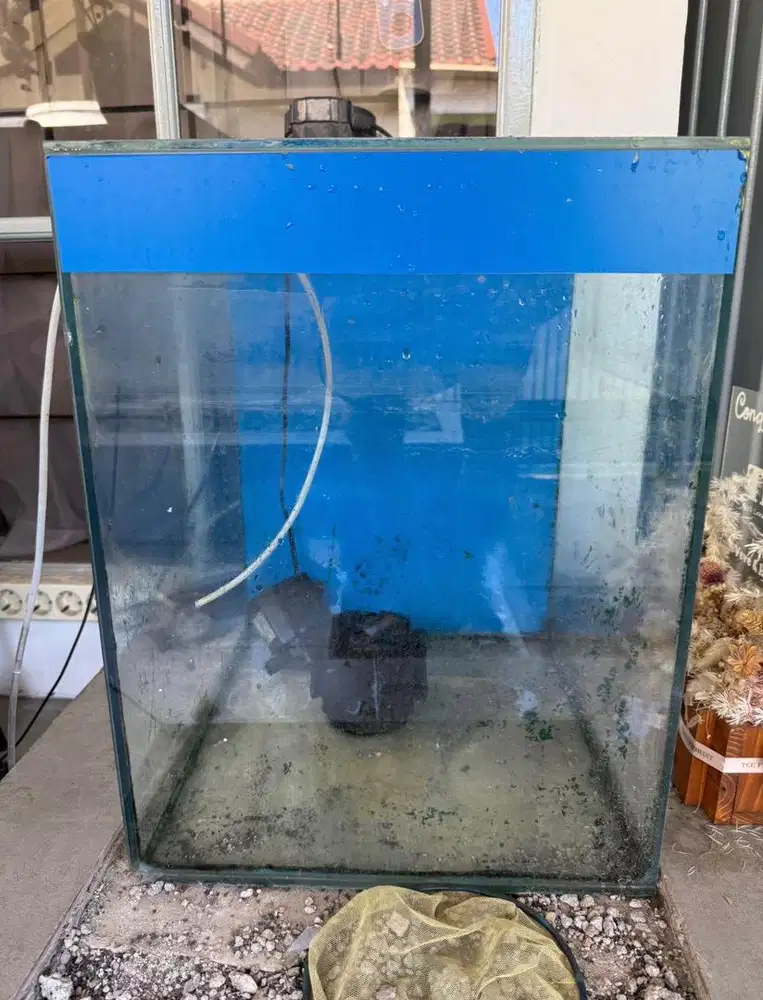Aquarium ikan louhan (Bonus Filter dan lampu)
