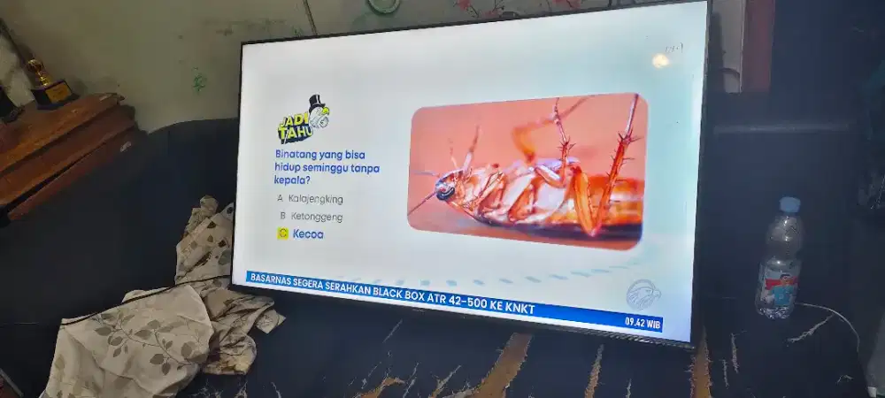 TV polytron led 50inch