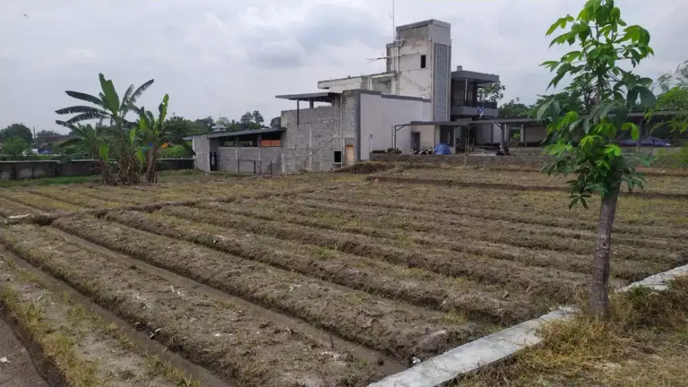 Dijual tanah sawah